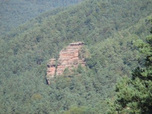 IMG_0063